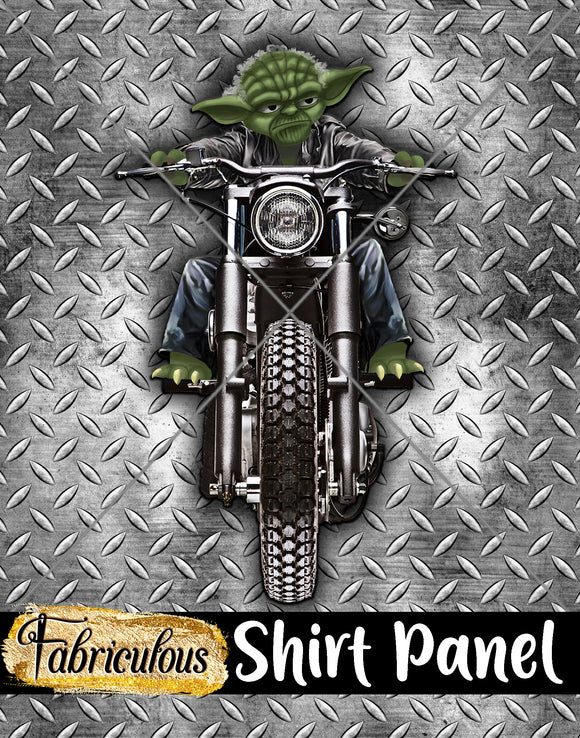 R29-  Faves- Angie's Shirt Panel