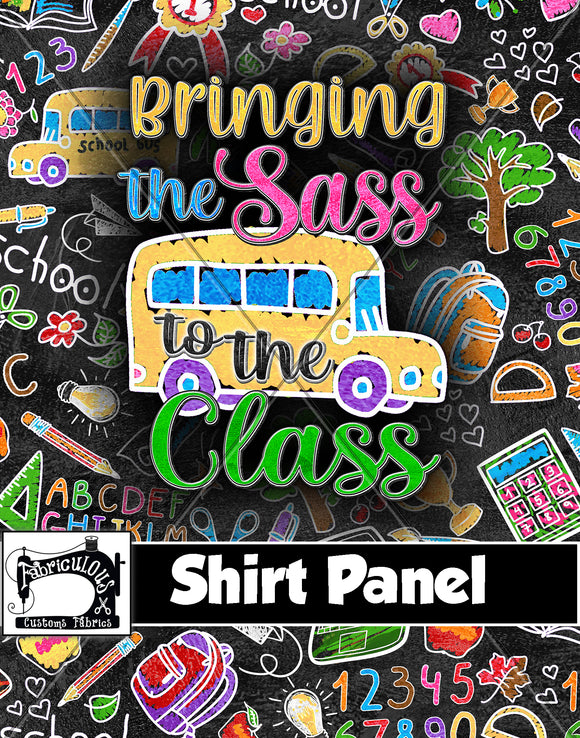 R28- School Sass Shirt Panel